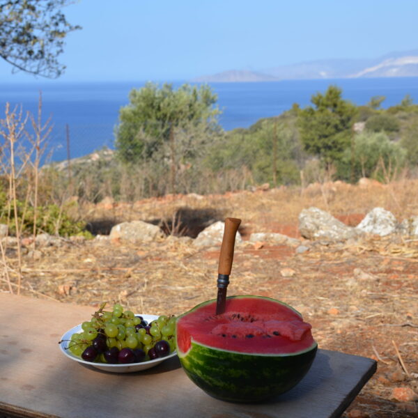 LIMNI eco-agro-tourism location Crete rental